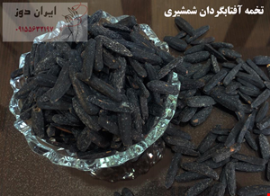 تخمه آفتابگردان شمشیری 